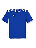 Adidas ENTRADA 18 JSY T- Kinder T-Shirt,blau (bold blue/White), 164 cm