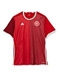 adidas Herren T-Shirt DBU H Jersey Kurzarm Heimtrikot, Power Red/Red, L