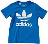 adidas Jungen Shirt Adicolor Trefoil, bluebird/white, 176, O58817