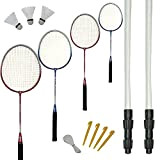 Best Sporting Federball Set Erwachsene und Kinder I Badminton Set bestehend aus Netz, 4 Schlägern, 3 Badmintonbällen und Tasche I ...