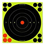 BIRCHWOOD CASEY 8" Bull's Target-30 Shoot-N-C 20,3 cm Bull‘s Eye Target – 30 Zielscheiben, Mehrfarbig, Einheitsgröße