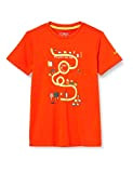 CMP Jungen T-Shirt Dry Function 38t6744, Rot (Flame), 104