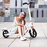 Hesyovy Leicht Scooter T-Style Stabile, aus Aluminiumlegierung, Klappbar und Höhenverstellbar, Big Wheel 195mm Räder Cityroller für Erwachsene