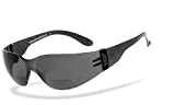 HSE® SportEyes® | BIFOKAL Brille: +2,50 DIOPTRIEN | Sportbrille mit Lesehilfe | UV400 Schutzfilter, HLT® Kunststoff-Sicherheitsglas nach DIN EN 166 ...