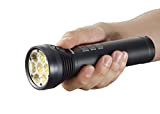 Lupine Betty TL 2 Taschenlampe 2022 Taschen lampen