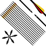 Narchery 12 Stück Pfeile, 31 Zoll Carbonpfeile Bogenpfeile mit Kunststoffbefiederung für Bogen, Recurvebogen, Langbogen und traditionellen Bogen