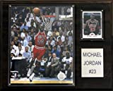NBA Michael Jordan Chicago Bulls Spielerplakette