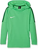 Nike Jungen Dry Academy18 Football Hoodie Pullover,Grün (Light Green Spark/Pine Green/Pine Green/Wh), M