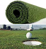 · Petgrow · Pro Putting Green Golf Kunstrasen – Indoor Outdoor Kunstrasen für Golf Gym Sport, 3FTX10FT
