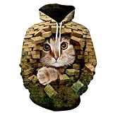WXDSNH Nette Katze Tier Serie 3D Print Hoodies Männer Herbst Lustige Haustier Muster Sweatshirts Frauen Sport Langarm Pullover