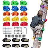 YIHATA 15 Stück Baumklettergriffe Kinderklettersteine Baum Klettergriffe Set mit 6 Ratschengurte Ideal zum Klettern auf Rahmen Kletterhilfen für Kinder